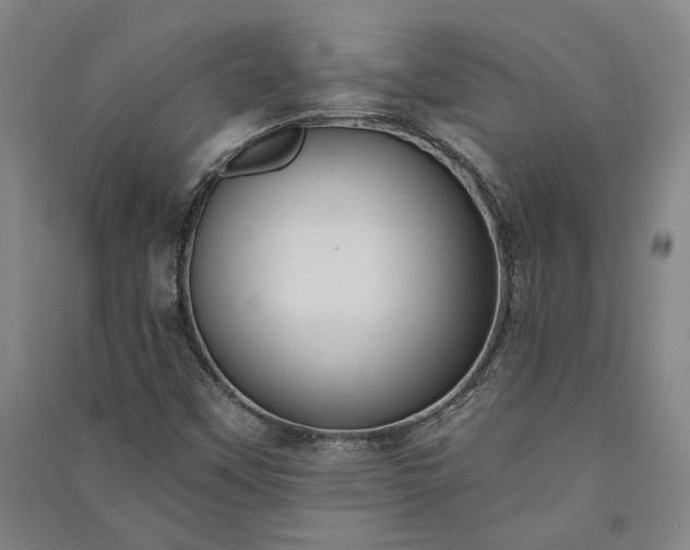 X0000091351451200708171421