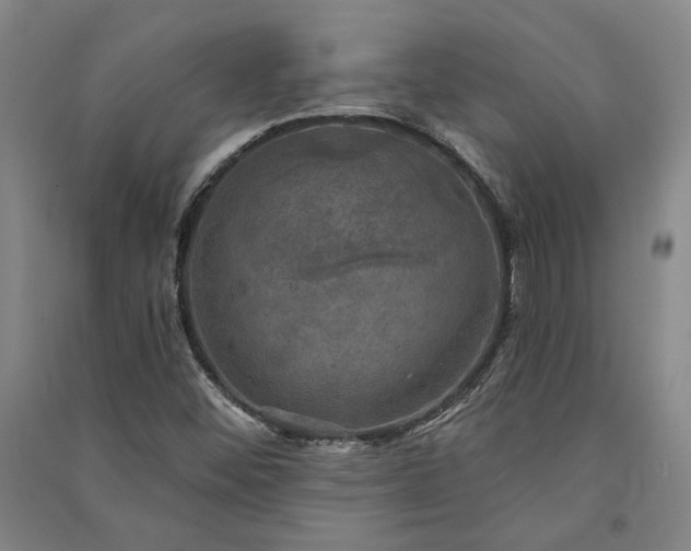 X0000091351452200708171421