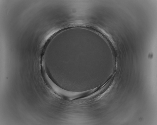 X0000091351453200708171421