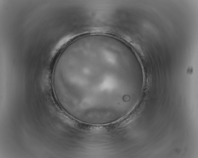 X0000091351454200708171421