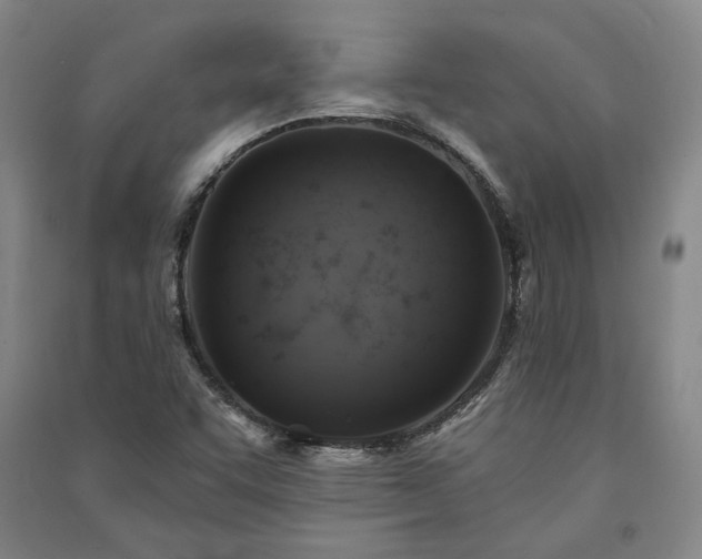 X0000091351455200708171421