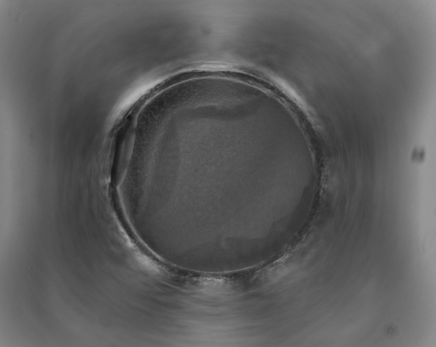 X0000091351456200708171421