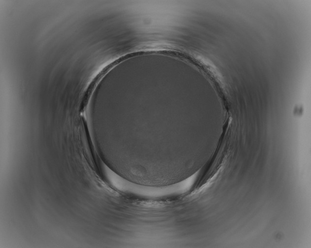 X0000091351457200708171421