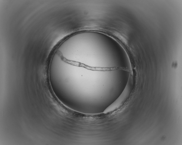 X0000091351458200708171421