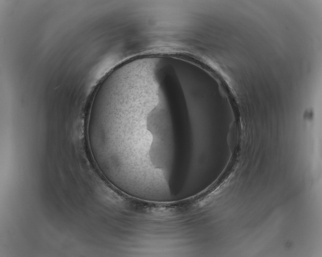 X0000091351459200708171421