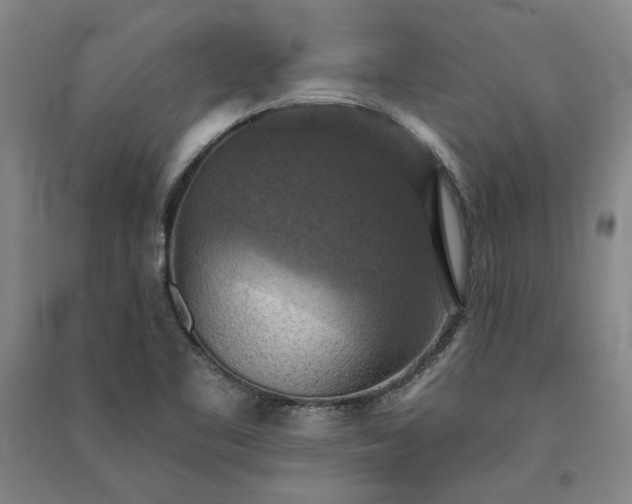 X0000091351461200708171421