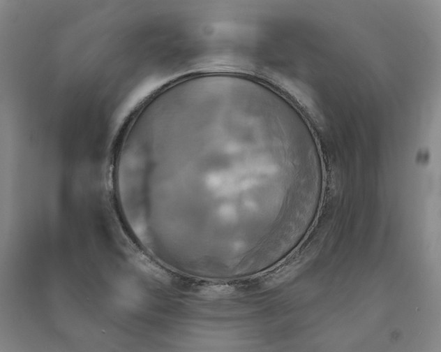 X0000091351462200708171421