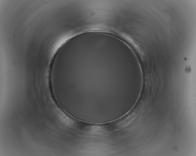 X0000091351463200708171421