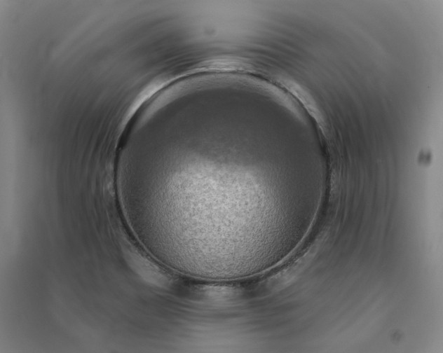 X0000091351465200708171421