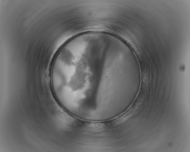X0000091351466200708171421