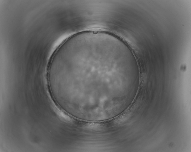 X0000091351470200708171421