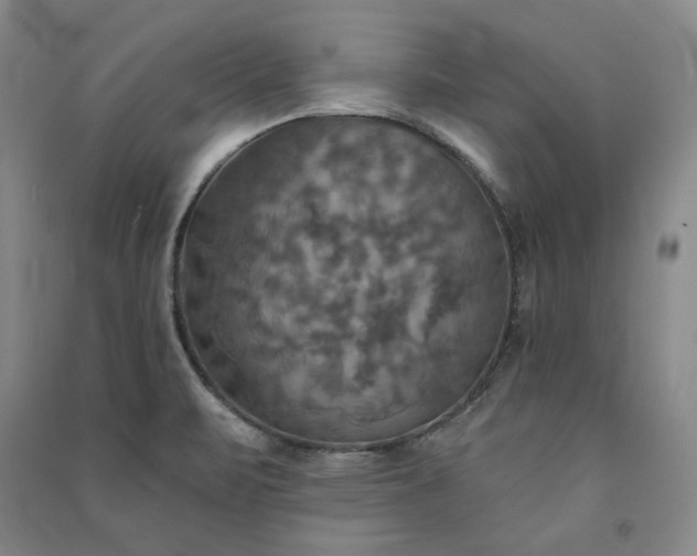 X0000091351471200708171421