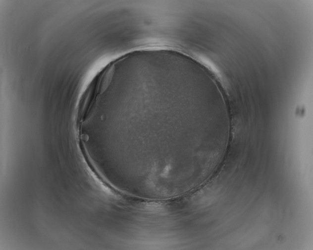 X0000091351472200708171421