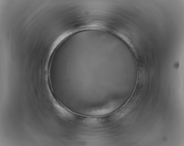 X0000091351474200708171421