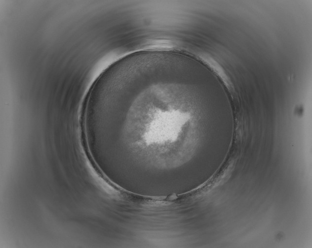 X0000091351475200708171421