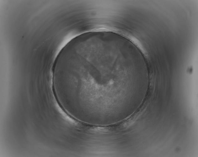X0000091351476200708171421