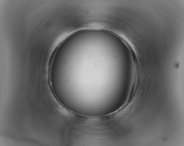 X0000091351477200708171421