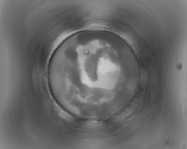 X0000091351478200708171421