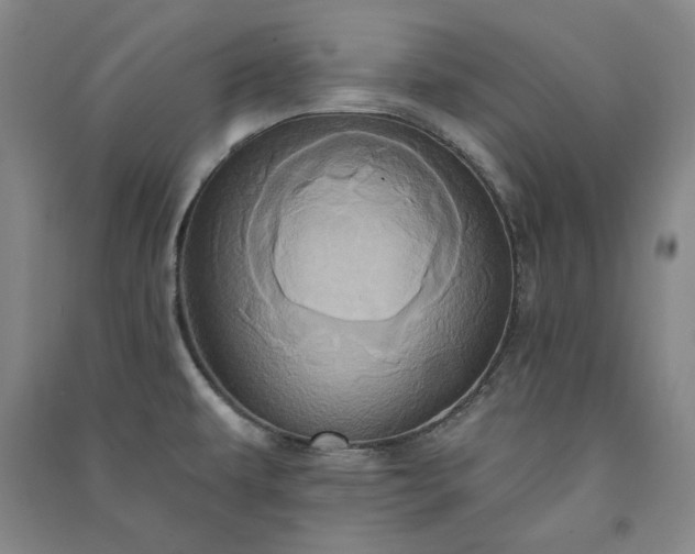 X0000091351479200708171421