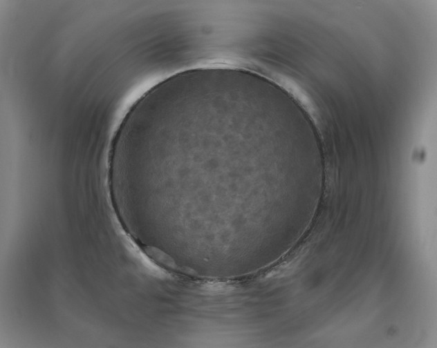 X0000091351480200708171421