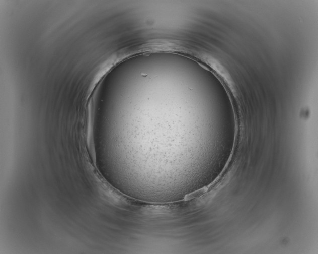 X0000091351481200708171421