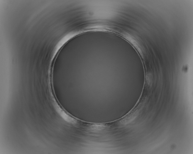 X0000091351482200708171421