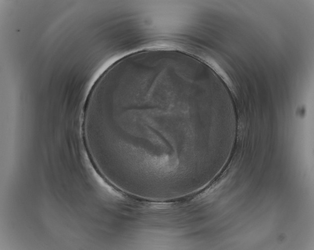 X0000091351484200708171421