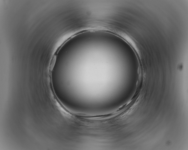 X0000091351485200708171421