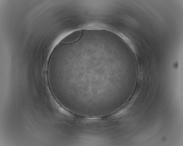 X0000091351486200708171421