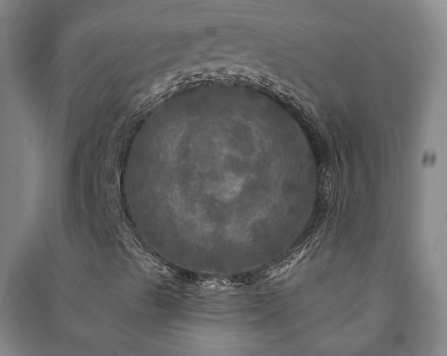 X0000091351489200708171420