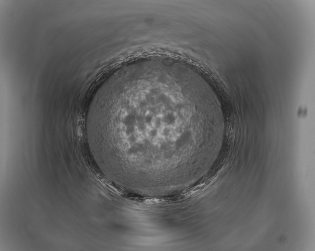 X0000091351490200708171420