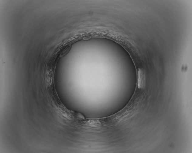 X0000091351491200708171420