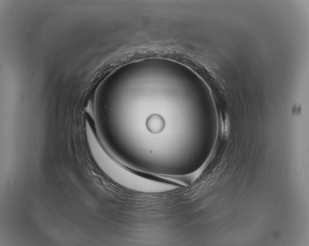 X0000091351492200708171420