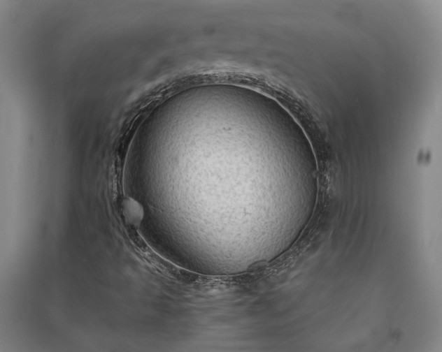 X0000091351493200708171420