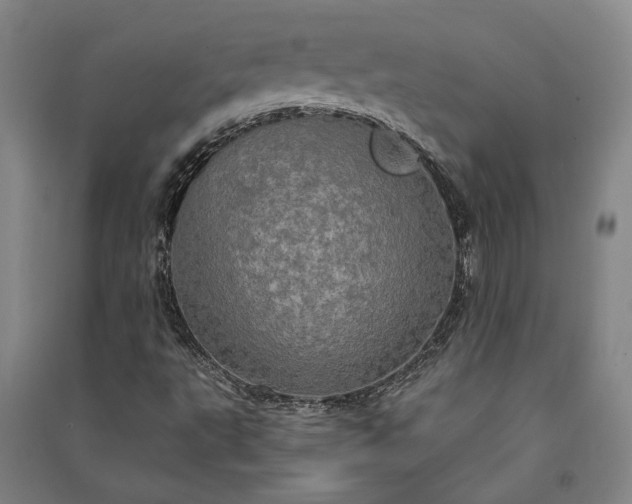 X0000091351495200708171420
