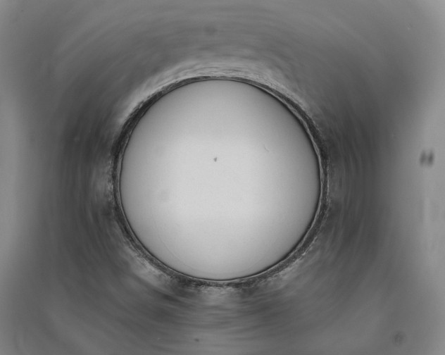 X0000091351498200708171420