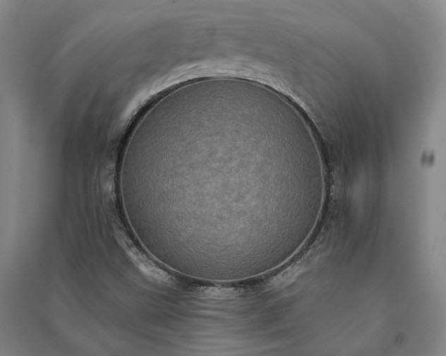 X0000091351499200708171420