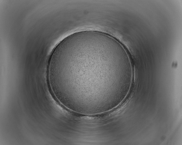 X0000091351500200708171420