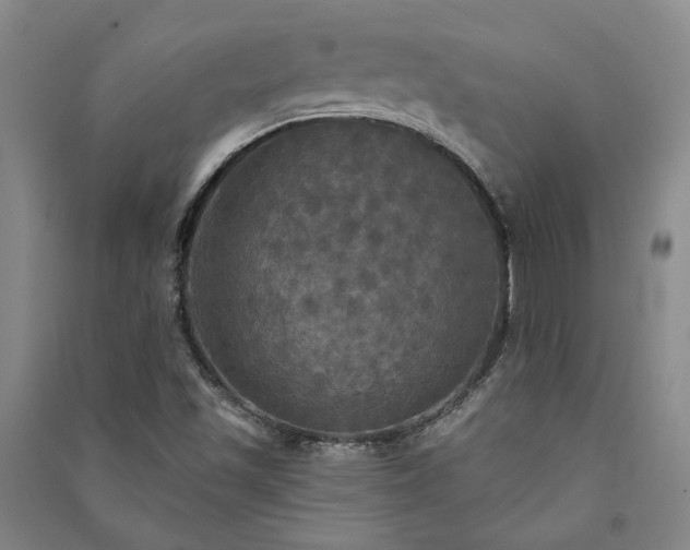 X0000091351501200708171420