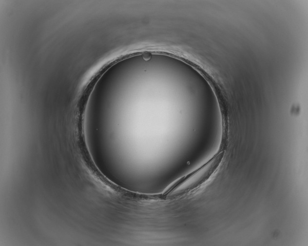 X0000091351502200708171420