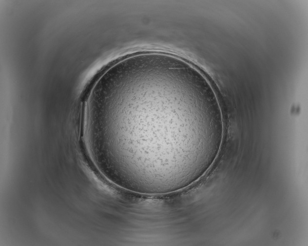 X0000091351503200708171420