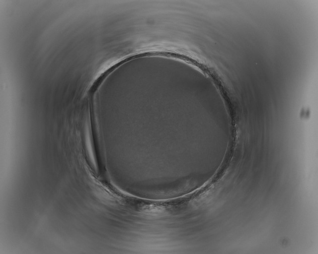 X0000091351505200708171420
