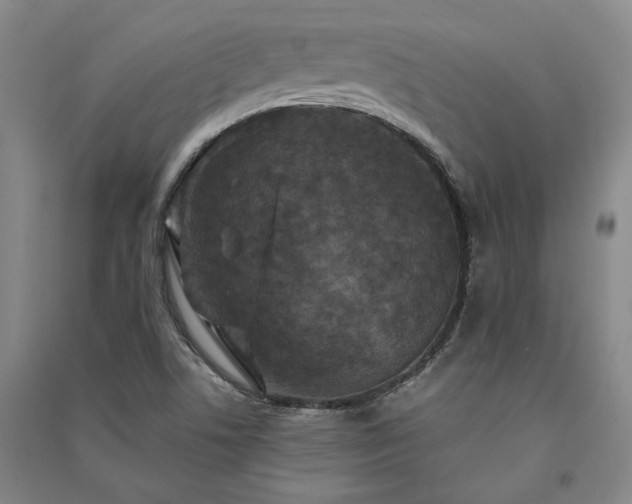 X0000091351506200708171420