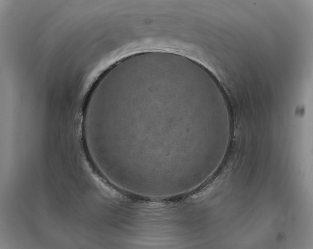 X0000091351507200708171420
