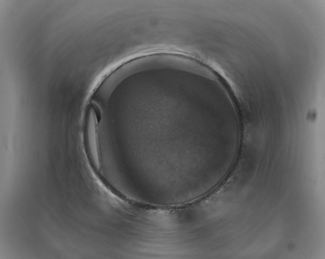 X0000091351508200708171420