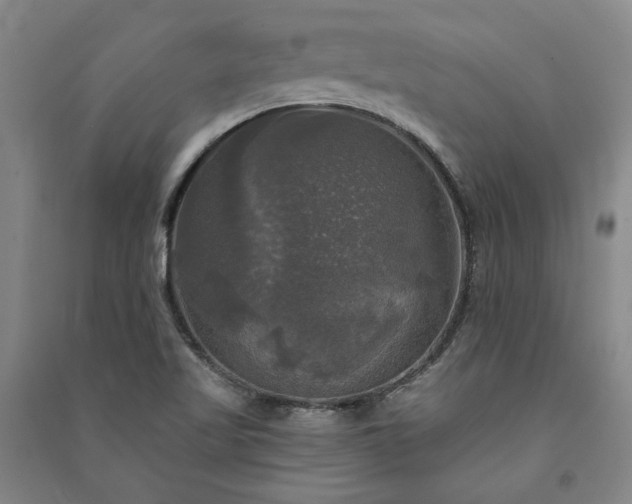 X0000091351509200708171420