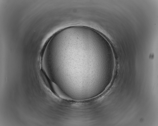 X0000091351510200708171420