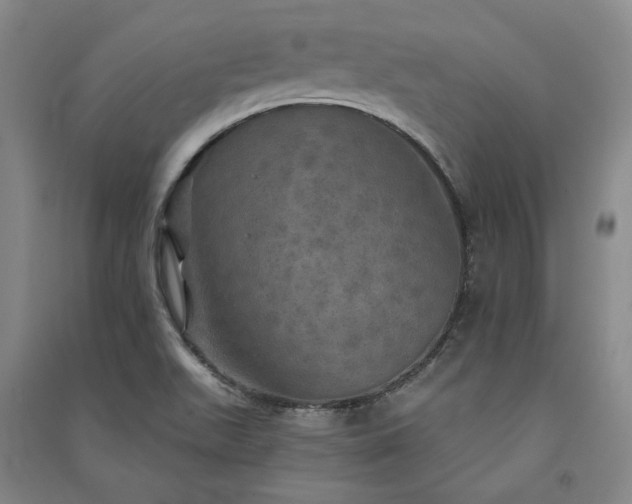 X0000091351511200708171420
