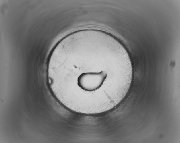 X0000091351514200708171420