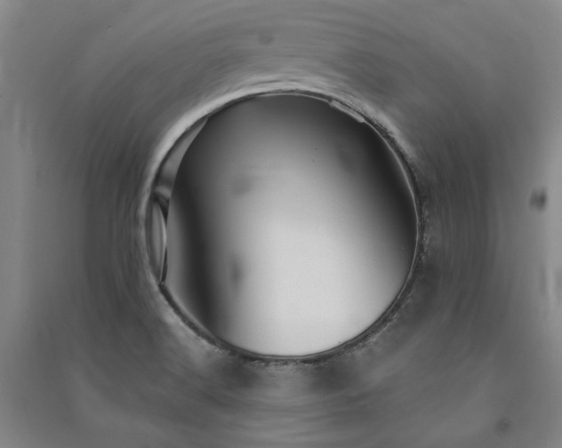 X0000091351516200708171420